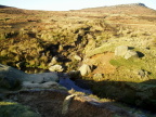 Course images