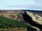 Course images