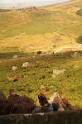 DSC04275